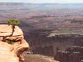 Canyonlands - White Rim Overlook